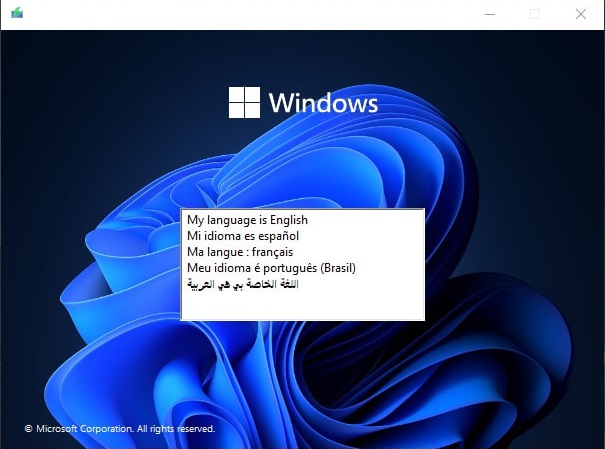 Windows 11 Pro 23H2 Build 22631.2428 Ultralight Multi-Functional (x64) Multilingual Ankh Tech