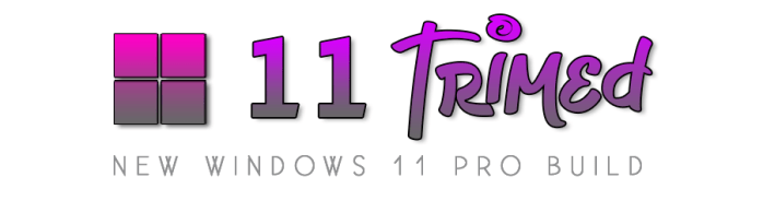Windows 11 Pro Trimed 22H2 Build 22621.1555 (x64) En-US Pre-Activated