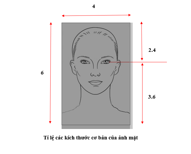 Tỷ lệ hình ảnh cần phải càng gần chính xác càng tốt, đặc biệt là khoảng cách từ vùng mắt đến viền trên và dưới.