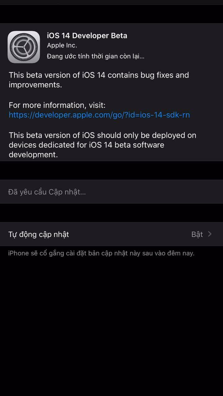 Các bước cài đặt iOS 14 và iPadOS 14 Beta