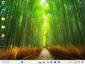 Windows 11 v24H2 Build 26100.560 (16in1) No-TPM Bypassed