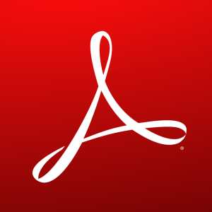 Adobe Acrobat Pro DC 2024 v24.002.20736 Pre-Activated