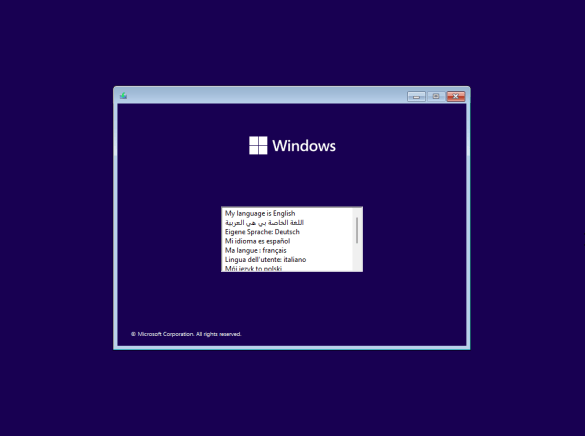 Windows 11 v22H2 Build 22621.3296 9in1 (No TPM) PreActivated