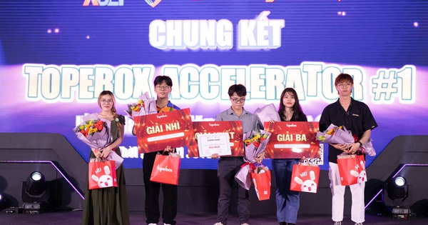 Vòng chung kết cuộc thi “ ươm mầm tài năng game Việt 2024 - TopeboxAccelerator” diễn ra ấn tượng