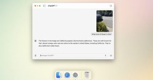 Có ứng dụng ChatGPT dành riêng cho Mac