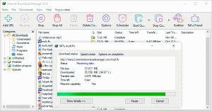 Internet Download Manager (IDM) v6.42 Build 9 with Patch