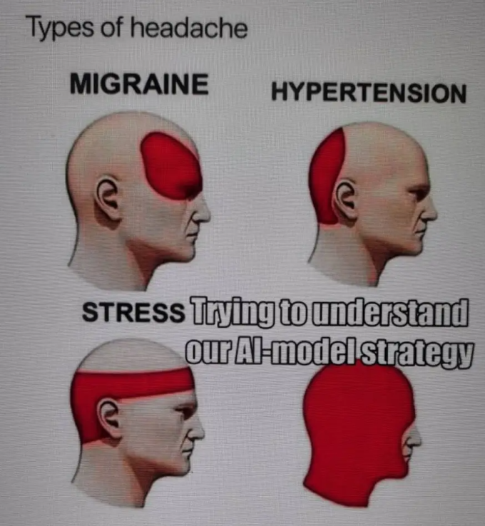Một meme khác của một nhân viên Google mô tả các loại đau đầu và cách chúng ảnh hưởng đến não, bao gồm chứng đau nửa đầu, huyết áp cao và căng thẳng. Đặc biệt với mô hình Google, vùng bị ảnh hưởng là toàn bộ phần đầu.