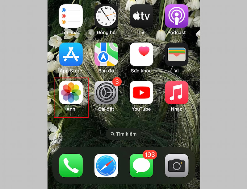 Nhấn vào ứng dụng Ảnh trên iPhone của bạn