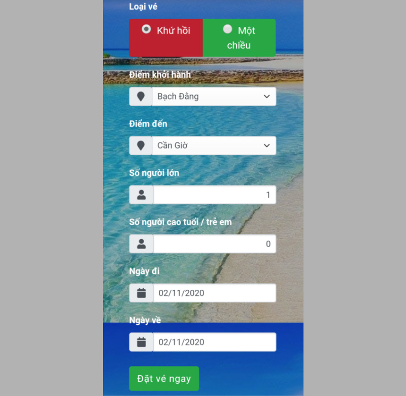 Nhập điểm khởi hành, điểm đến, số lượng người lớn, ngày khởi hành...
