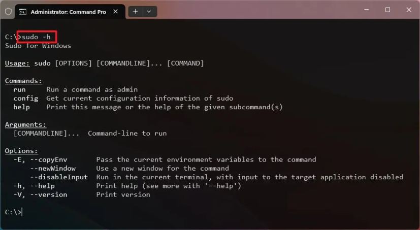 Sudo help command