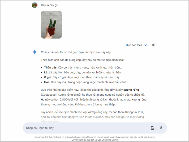 Google Gemini cung cấp khả năng hỏi và trả lời câu hỏi qua hình ảnh