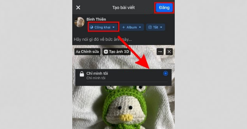 Đặt chế độ Chỉ mình tôi, bấm Đăng để tải ảnh lên