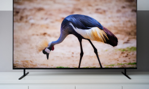 Tại sao TV Sony Bravia lại phù hợp cho kỳ nghỉ TET